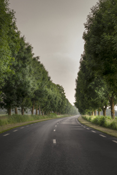 Ambiance orageuse sur la route de Ranville